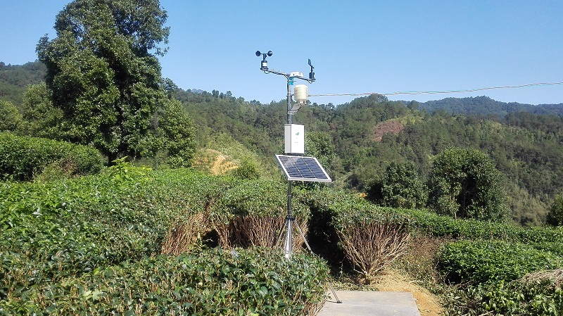 千年茶葉之鄉(xiāng)利用智慧農業(yè)進行精細種植管理