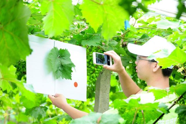 ďUķ֮ш@ҲܞI(y)^(yng)(yu)|(zh)ꖹõ