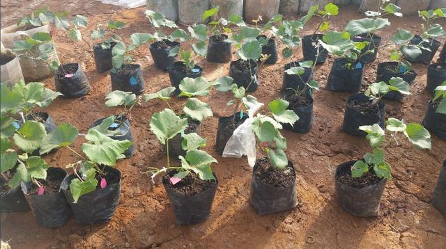 ďUķ֮ш@ҲܞI(y)^(yng)(yu)|(zh)ꖹõ