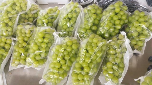 ďUķ֮ш@ҲܞI(y)^(yng)(yu)|(zh)ꖹõ