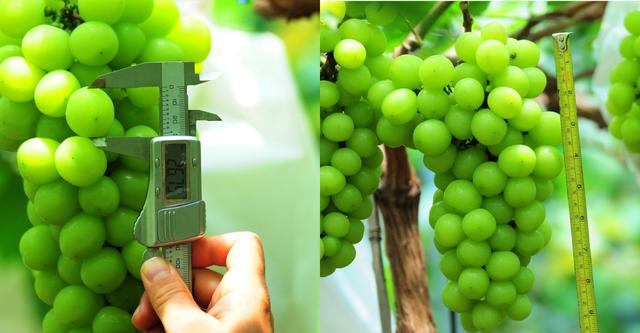 ďUķ֮ш@ҲܞI(y)^(yng)(yu)|(zh)ꖹõ