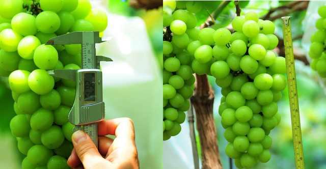 C(j)Yr(nng)TѹܼҞ九(ji)s(w)M(fi)15f(wn)