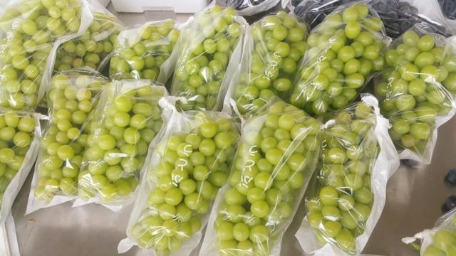 C(j)Yr(nng)TѹܼҞ九(ji)s(w)M(fi)15f(wn)