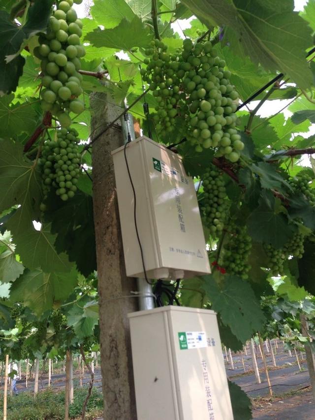 C(j)Yr(nng)TѹܼҞ九(ji)s(w)M(fi)15f(wn)