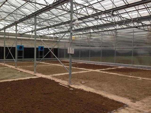 עڿеAƼҲܱO(jin)؎ľ(zhn)cЧ