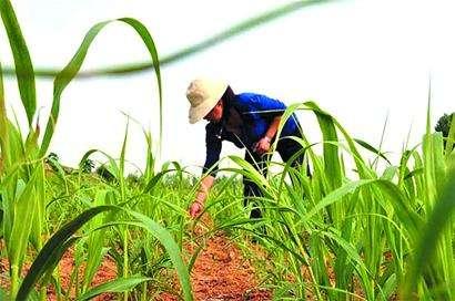 עڿеAƼҲܱO(jin)؎ľ(zhn)cЧ