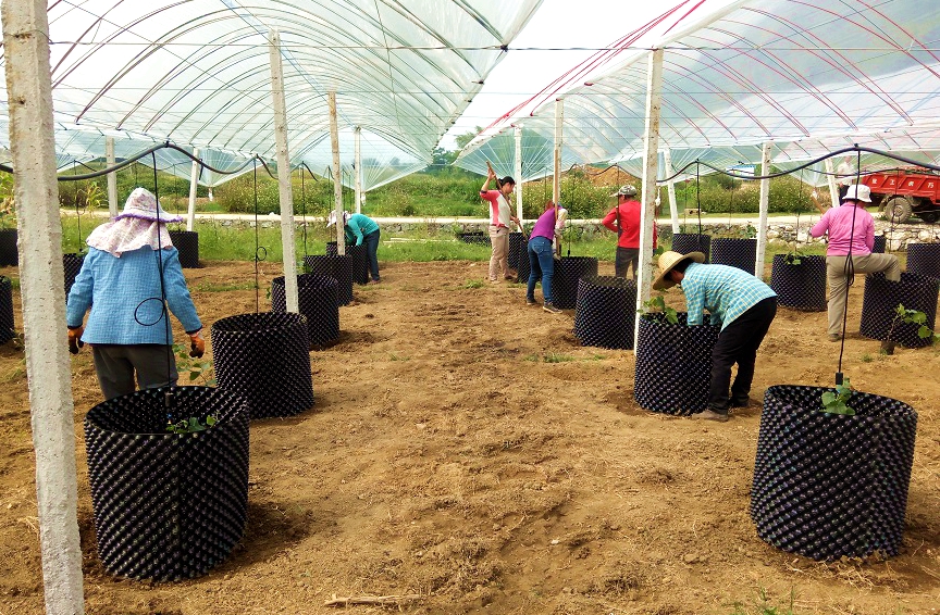 a(chn)I(y)ؚʾǻr(nng)I(y)˜ʻa(chn)