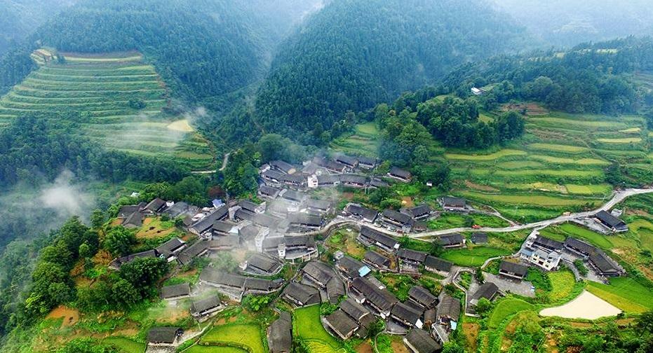 ǻr(nng)I(y)(sh)F(xin)(zhn)Óؚ