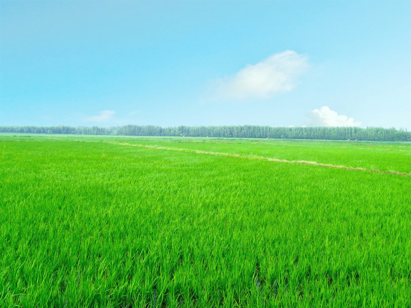 Gˮɽǽɽyɽǻr(nng)I(y)r(nng)I(y)(lin)W(wng)B(ti)r(nng)I(y)o(h)W(wng)