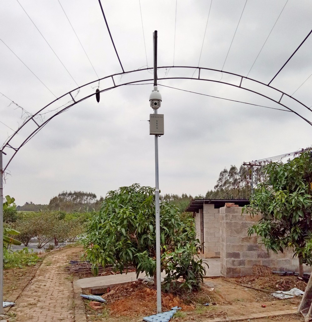 Gˮɽǽɽyɽǻr(nng)I(y)r(nng)I(y)(lin)W(wng)B(ti)r(nng)I(y)o(h)W(wng)