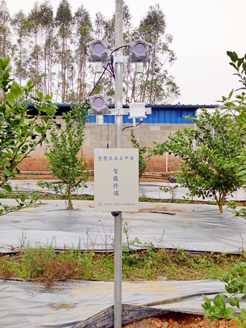 Gˮɽǽɽyɽǻr(nng)I(y)r(nng)I(y)(lin)W(wng)B(ti)r(nng)I(y)o(h)W(wng)