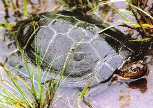 һһƷSɳM塱oǻr(nng)I(y)MȫԴ