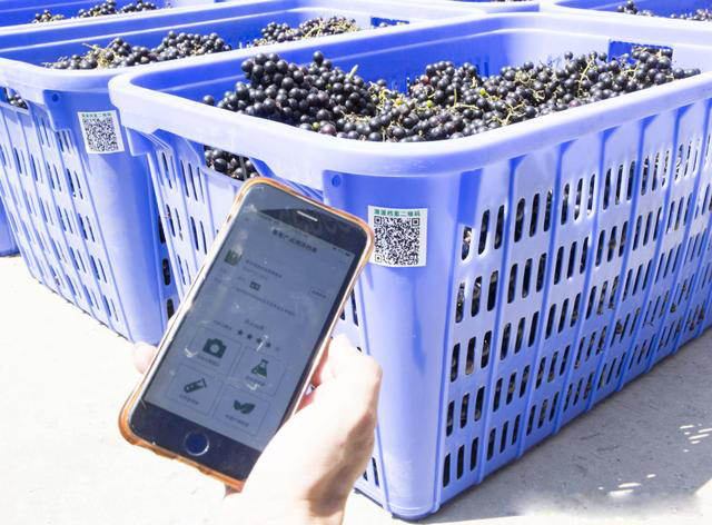 Vr(nng)a(chn)ƷԴ_Nͨ·Ұɽ߳ɽ