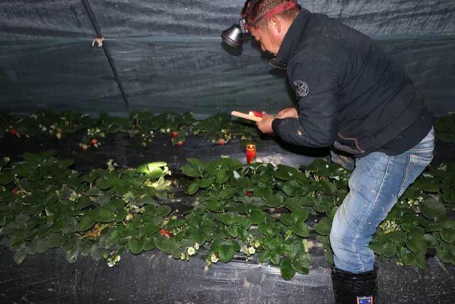 ����ʹ��ݮ���ֵ�c��(sh��)������ı����ǈ�(ji��n)�����ƵĘ�(bi��o)��(zh��n)������