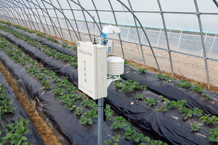 ����ʹ��ݮ���ֵ�c��(sh��)������ı������ǈ�(ji��n)�����ƵĘ�(bi��o)��(zh��n)������