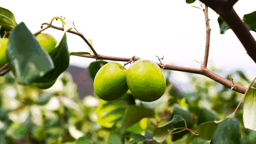 @B(yng)ȫhġԪ\Ϙ˜ʻD¸֮·