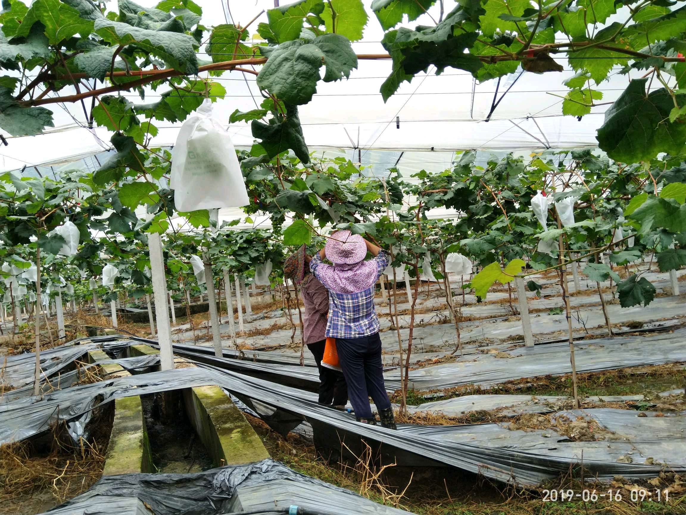 ݰ(zhn)ш@ĶλѲ@r(nng)ӛ