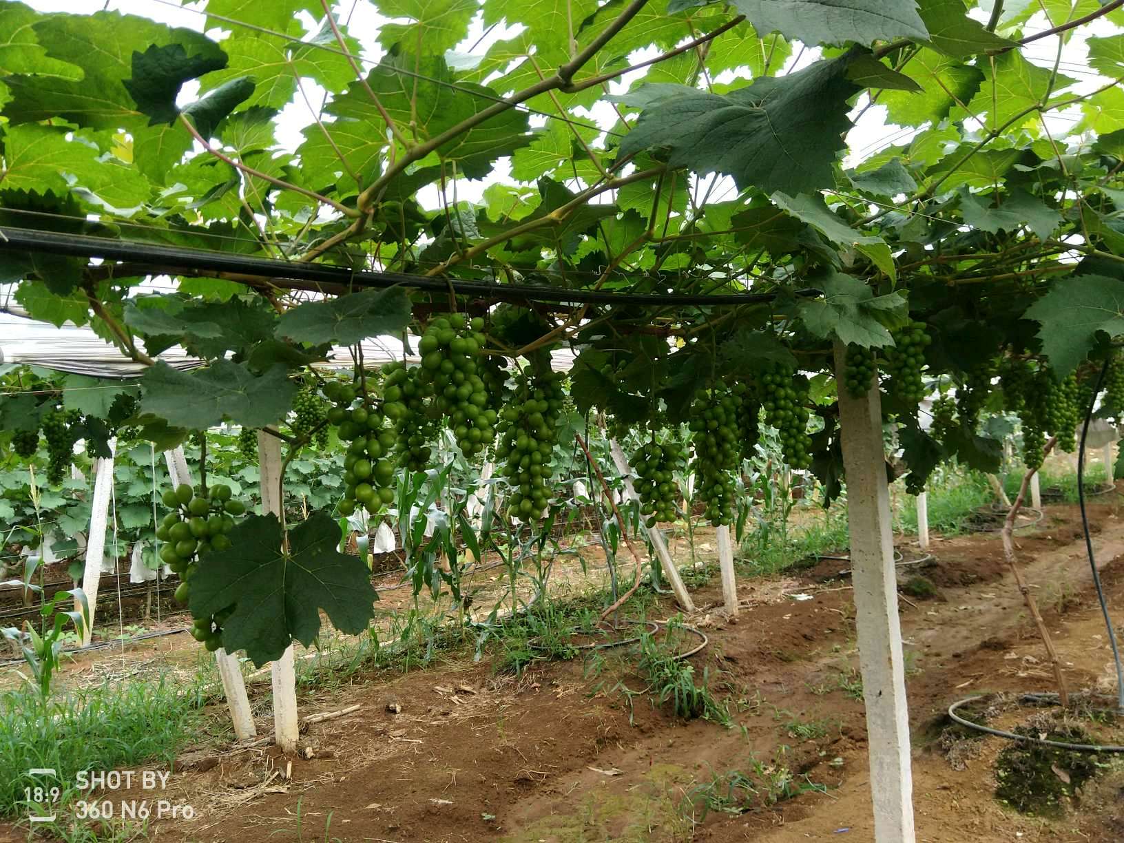 ݰ(zhn)ш@ĶλѲ@r(nng)ӛ