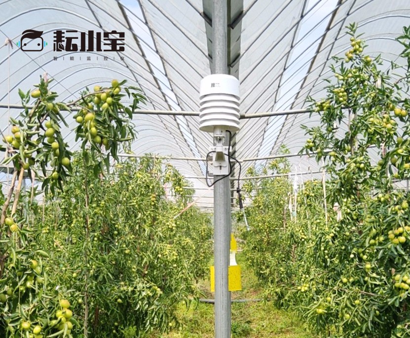 읙ܱO(jin)؃xС(w)(yu)(lin)أԃrȳr(nng)ֵÓ