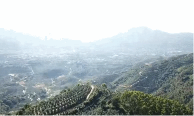 С(w)ǻ۹I(y)a(chn)ƹءtǰA(y)