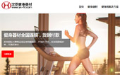 漢臣健身器材網(wǎng)站建設(shè)