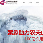 索象營銷策劃集團網(wǎng)站建設(shè)