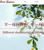 主題酒店網(wǎng)站建設(shè)