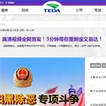 天津經(jīng)濟(jì)技術(shù)開發(fā)區(qū)政務(wù)服務(wù)平臺(tái)網(wǎng)站建設(shè)