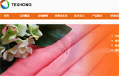 天虹紡織集團(tuán)網(wǎng)站建設(shè)