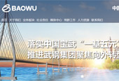 中國(guó)寶武武鋼集團(tuán)有限公司網(wǎng)站建設(shè)