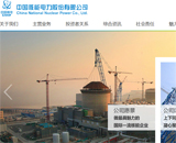 中國(guó)核能電力股份有限公司網(wǎng)站建設(shè)