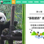 熊貓頻道網(wǎng)站建設(shè)