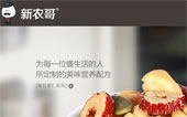 新農(nóng)哥網(wǎng)站建設(shè)