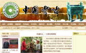 中國考古網站建設