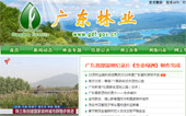 廣東林業(yè)網(wǎng)網(wǎng)站建設(shè)