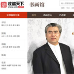 收藏天下網(wǎng)站建設(shè)