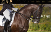 東方馬匯馬術(shù)俱樂(lè)部網(wǎng)站建設(shè)