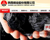 陜西煤業(yè)股份有限公司網(wǎng)站建設(shè)