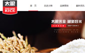 東莞市太糧米業(yè)有限公司網(wǎng)站建設(shè)