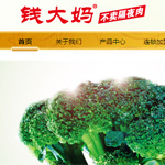 廣州錢大媽農(nóng)產(chǎn)品有限公司網(wǎng)站建設(shè)