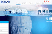 上海東方泵業(yè)網(wǎng)站建設(shè)