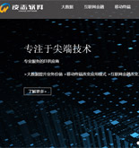 凌志軟件網(wǎng)站建設(shè)