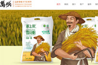 深圳萬域包裝設計公司網站建設