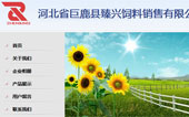河北臻興飼料銷售有限公司網(wǎng)站建設