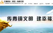 云南銅業(yè)(集團)有限公司網(wǎng)站建設(shè)