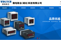 微電聯(lián)合(湖北)科技有限公司網(wǎng)站建設(shè)