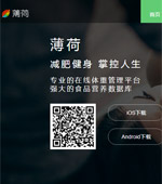 薄荷網(wǎng)網(wǎng)站建設(shè)