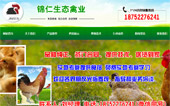 錦仁生態(tài)禽業(yè)網(wǎng)站建設