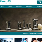 華彩集團網(wǎng)站建設(shè)